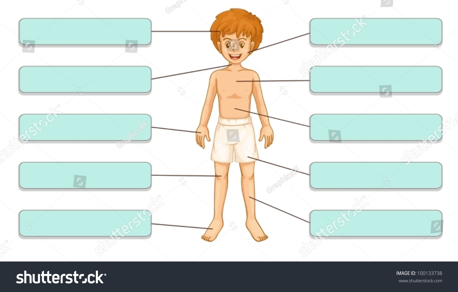 Body Parts Labels: A Complete Visual Guide