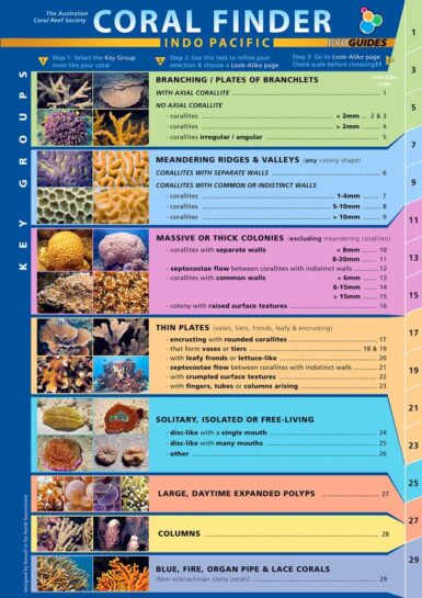 Coral Finder Underwater Identification Guide Works Well When Diving Or Coral Finder Underwater Identification Guide Works Well When Diving Or