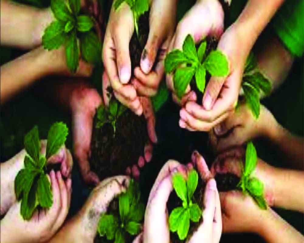 How To Become A Conservation Psychologist Embrace Mother Nature How To Become A Conservation Psychologist Embrace Mother Nature